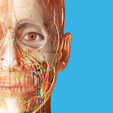 Atlas de anatomía humana 2023 para PC